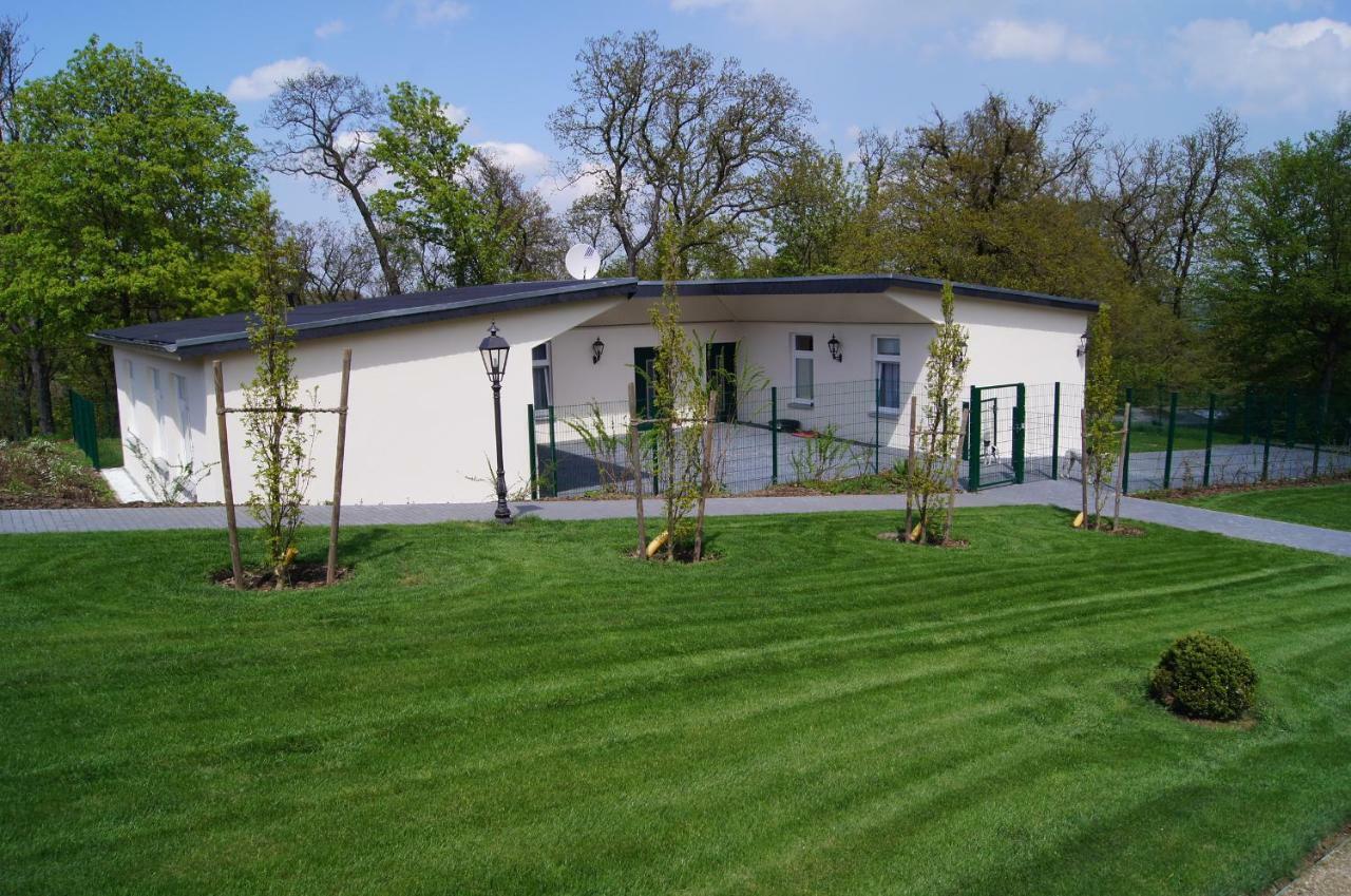 Ferienwohnungen Rohrkopf Ballenstedt Esterno foto
